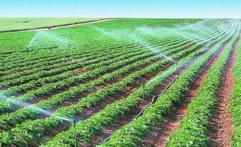 黄色干屄农田高 效节水灌溉